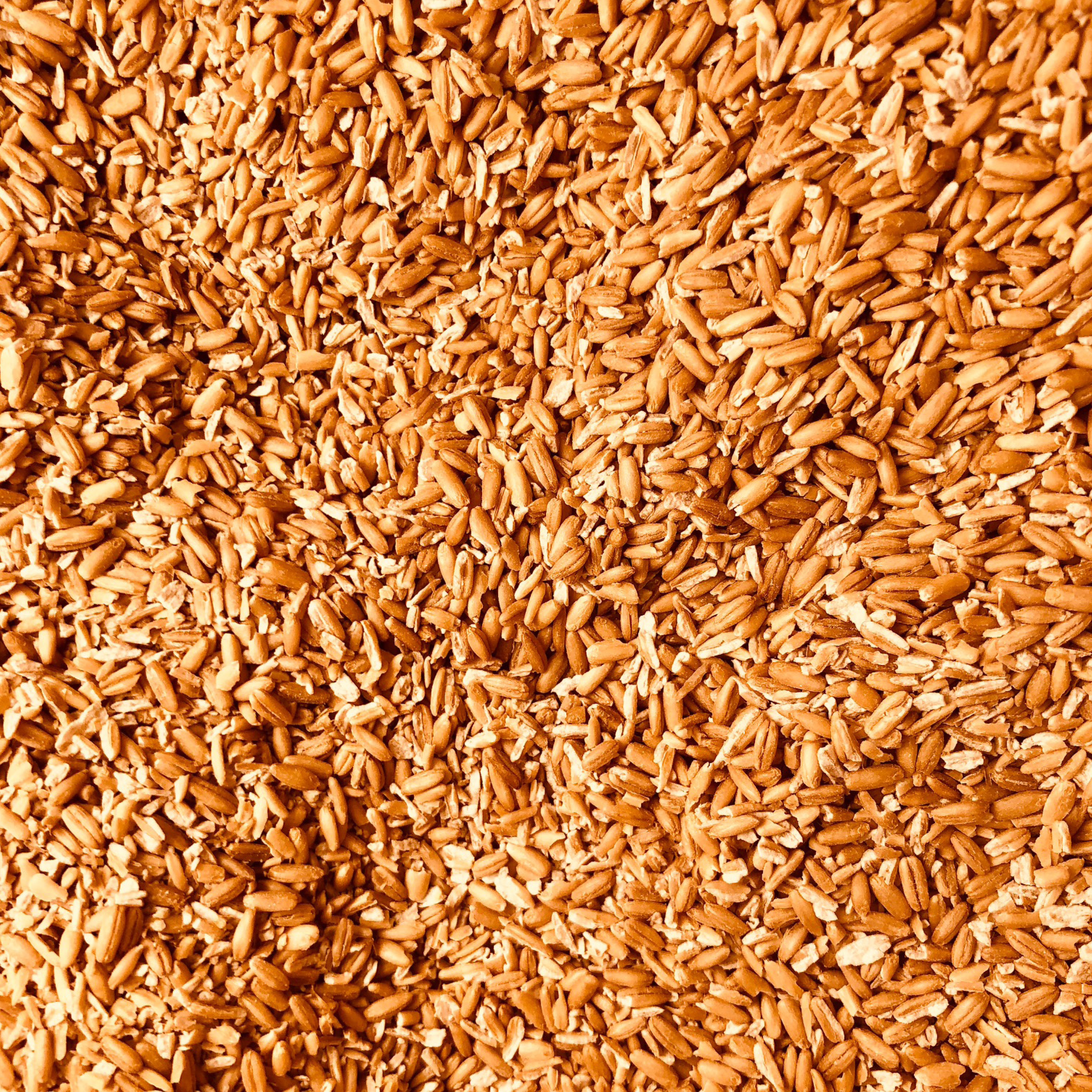 谷物– Gram Sustainable