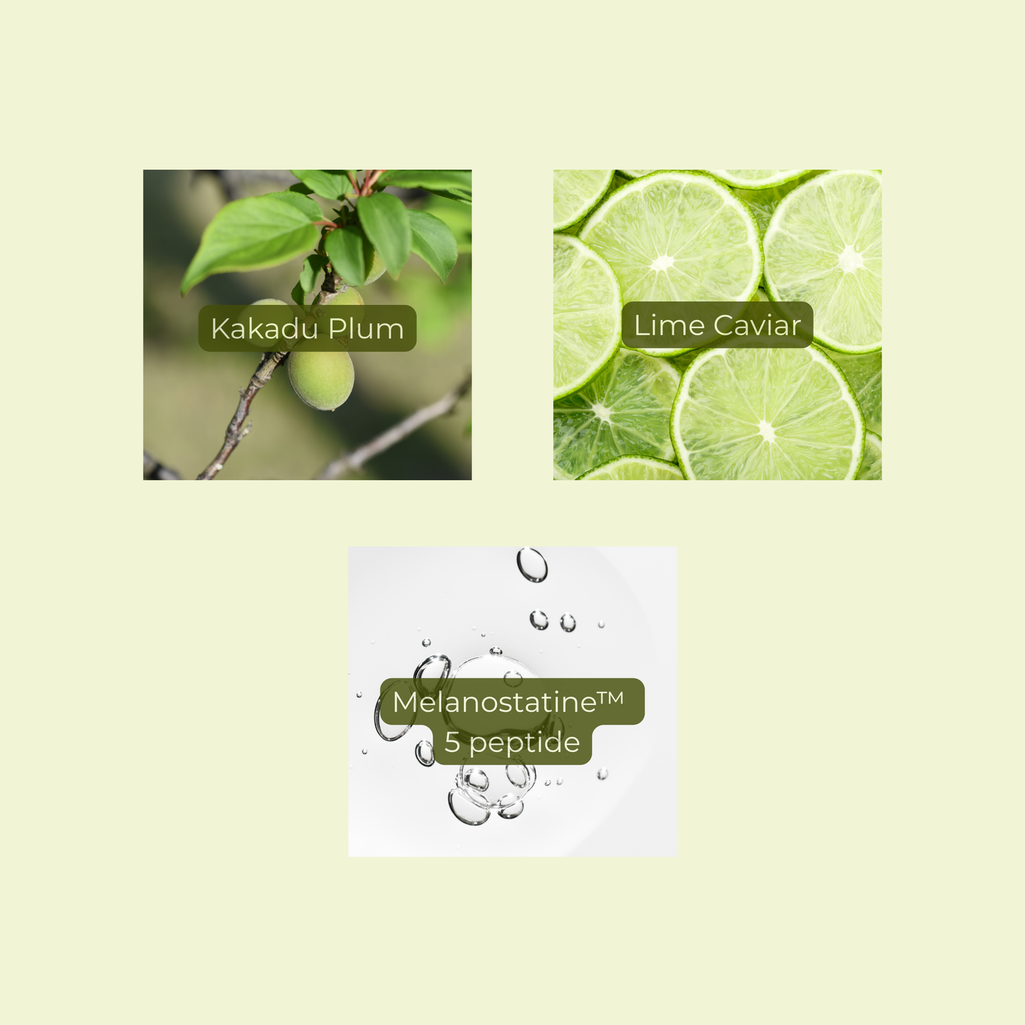 Three images of Kakadu Plum, Lime Caviar, and Melanostatine 5 peptide on a light green background.