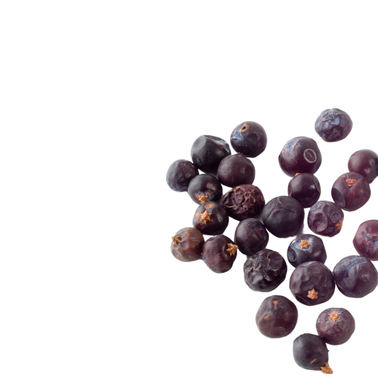 Juniper Berries - Organic
