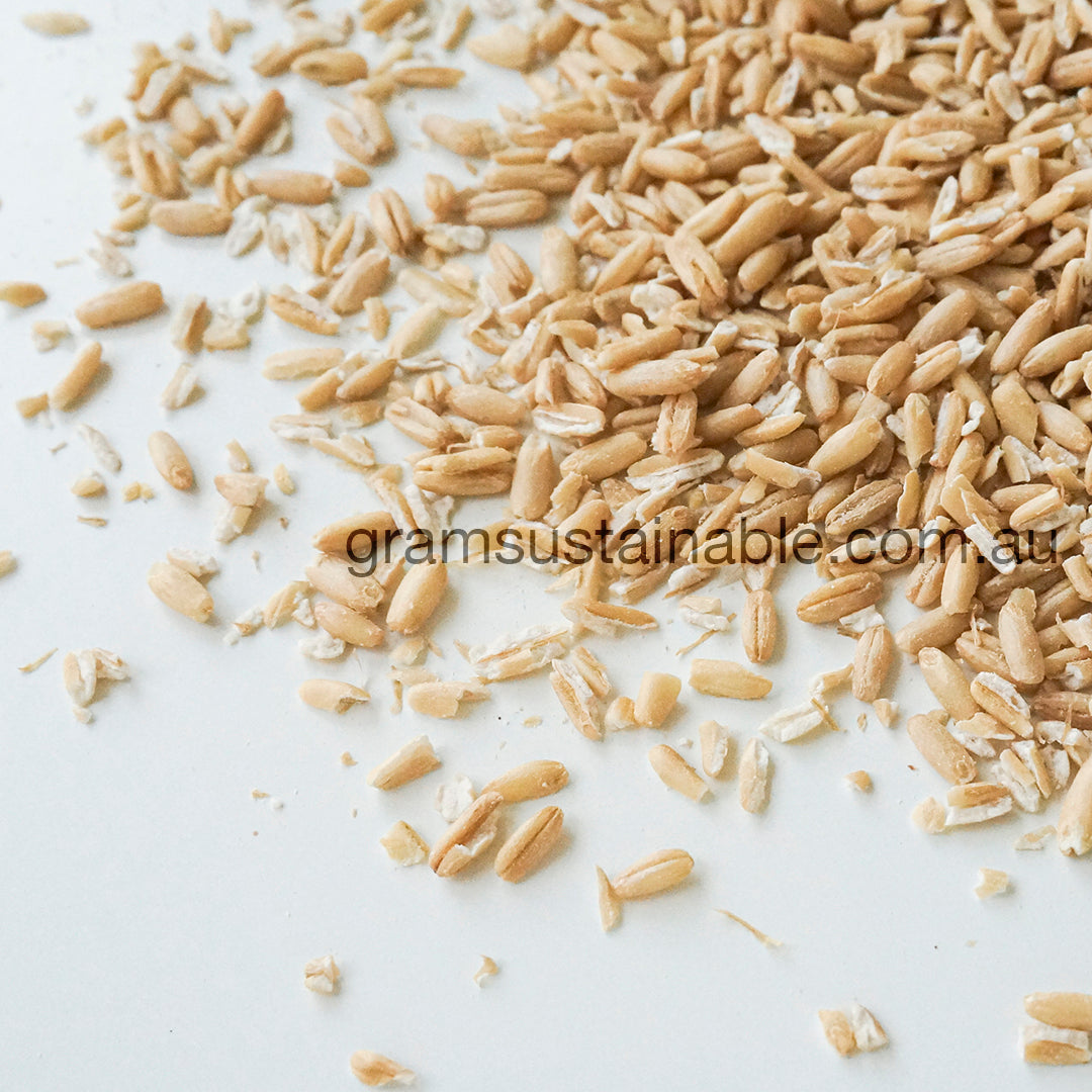 Steel Cut Oats or Pinhead Oats