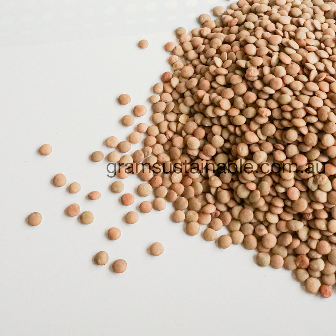 Australian Green Lentils