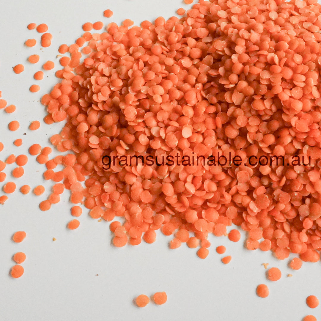 Red Lentils Australian