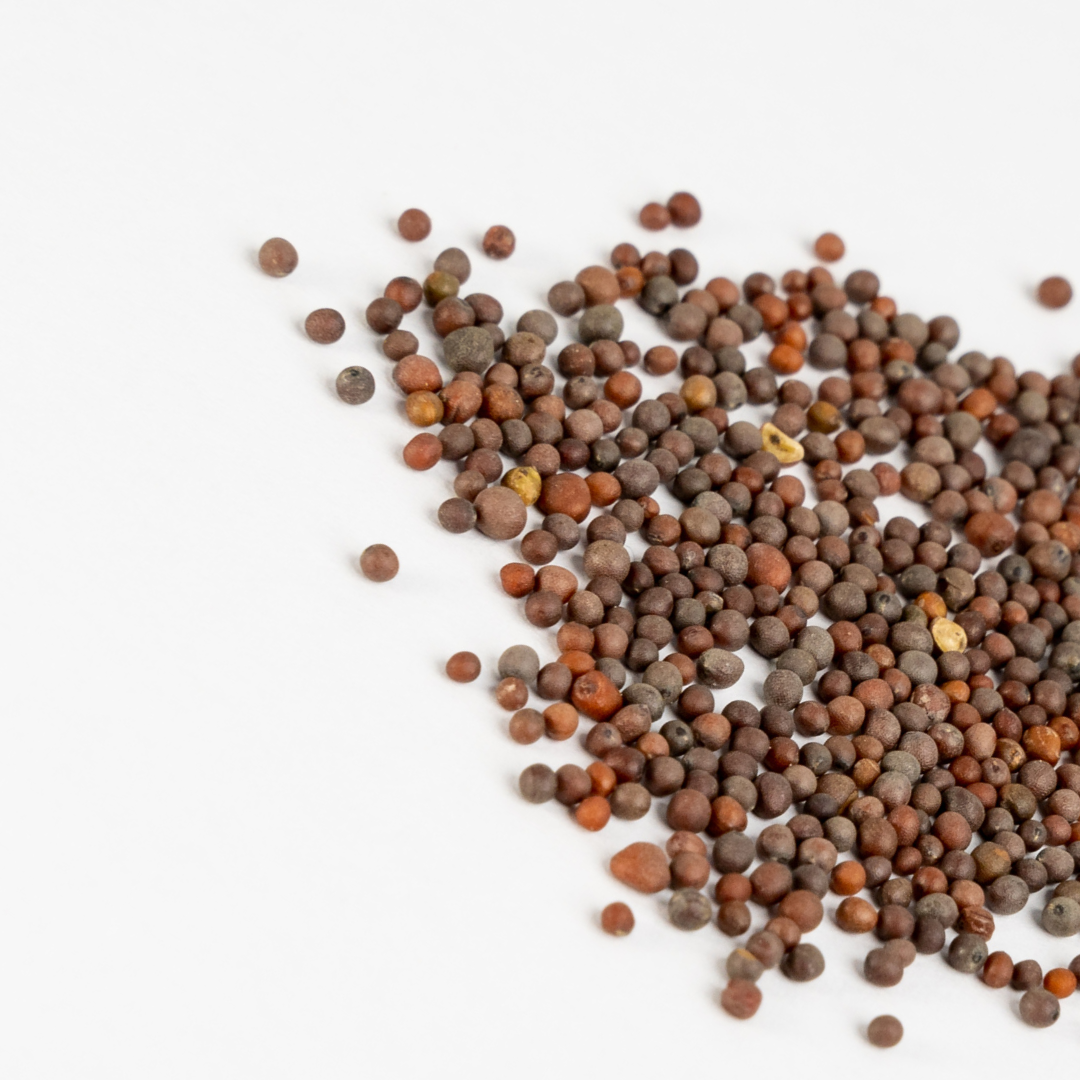 Brown Mustard Seeds