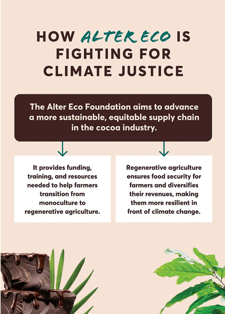 Alter Eco Chocolate Organic Dark Sea Salt 80g