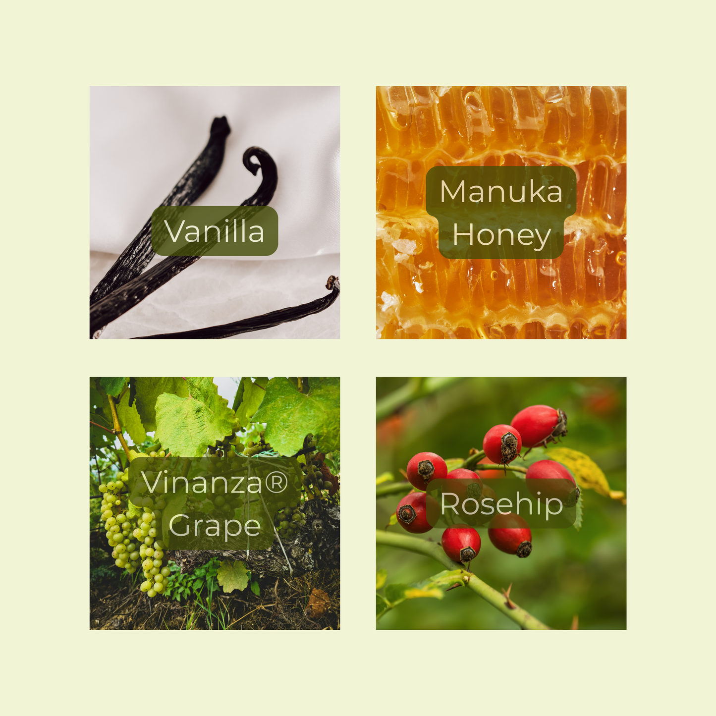 Four product images with labels for Vanilla, Manuka Honey, Vinanza Grape, and Rosehip on a light green background.