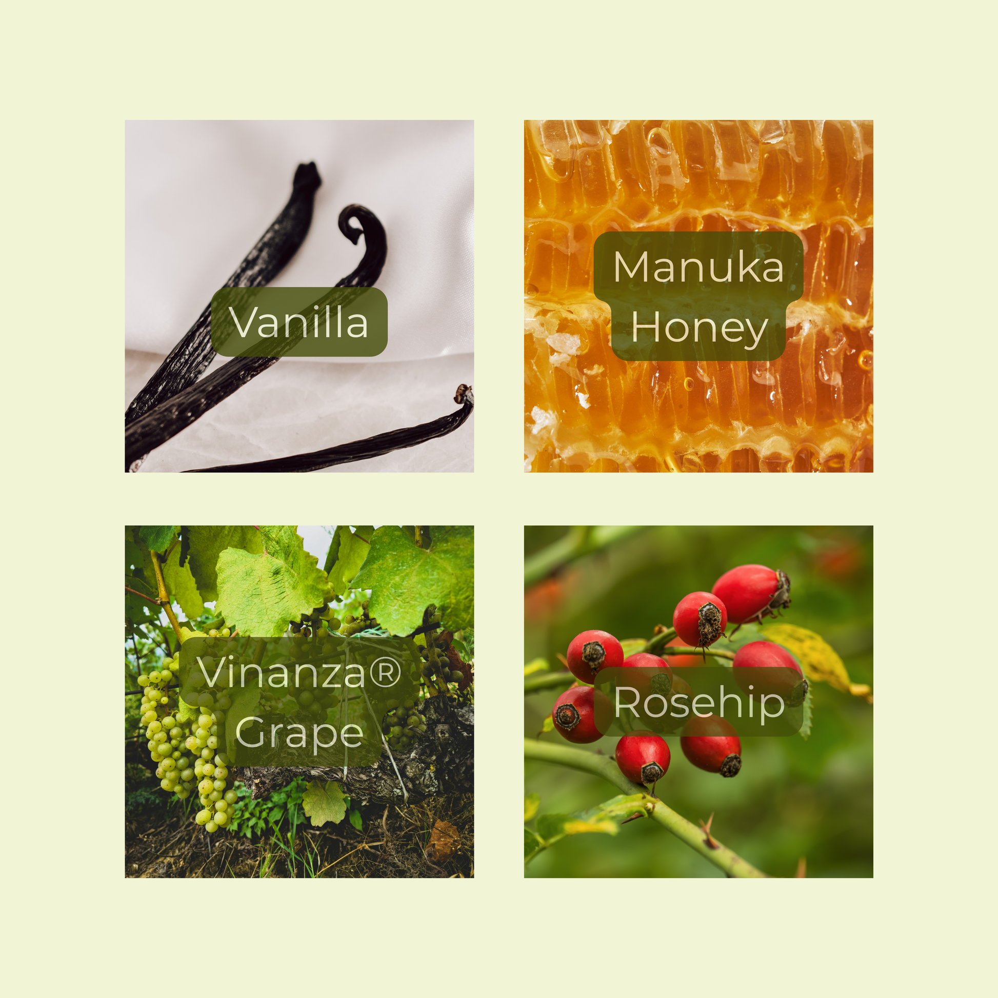 Four product images with labels for Vanilla, Manuka Honey, Vinanza Grape, and Rosehip on a light green background.