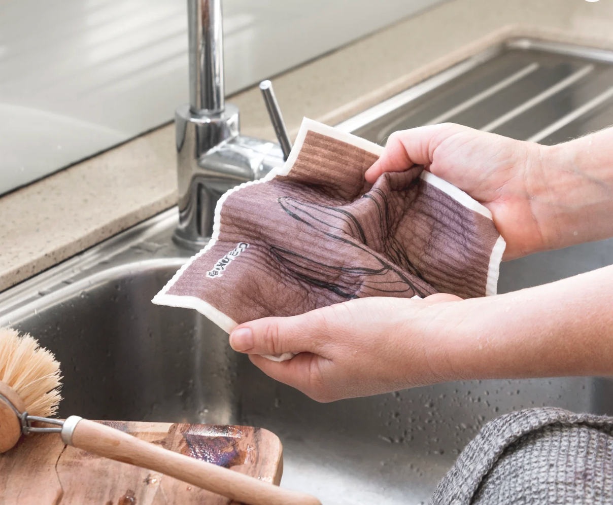 Eco Sponge Cloths Palm Springs Collection 2pk