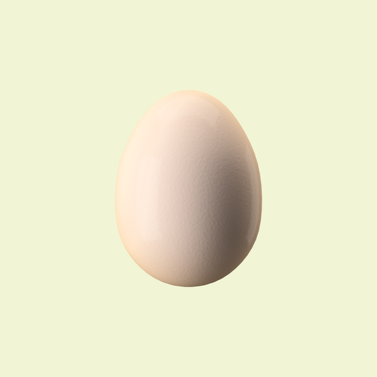 勇敢的母雞放養的雞蛋