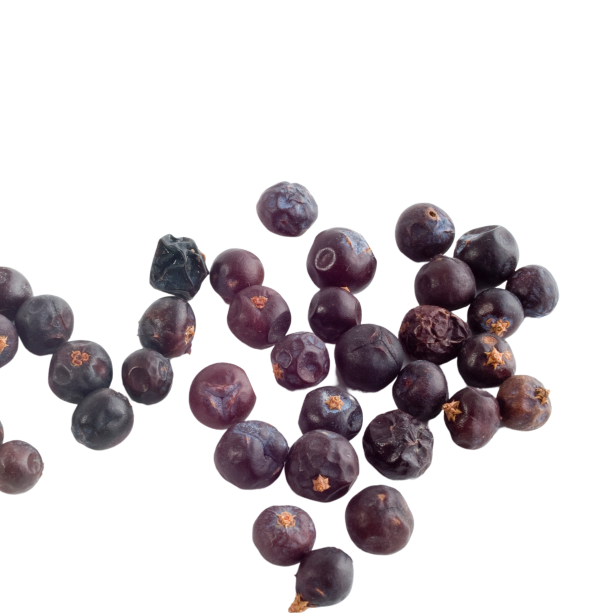 Juniper Berries