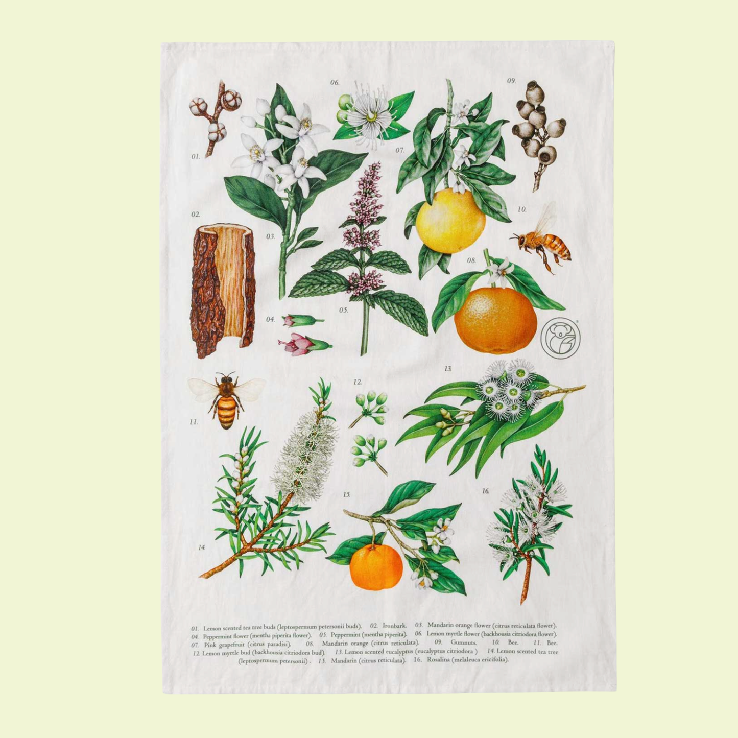 Koala Eco Tea Towel Botanical