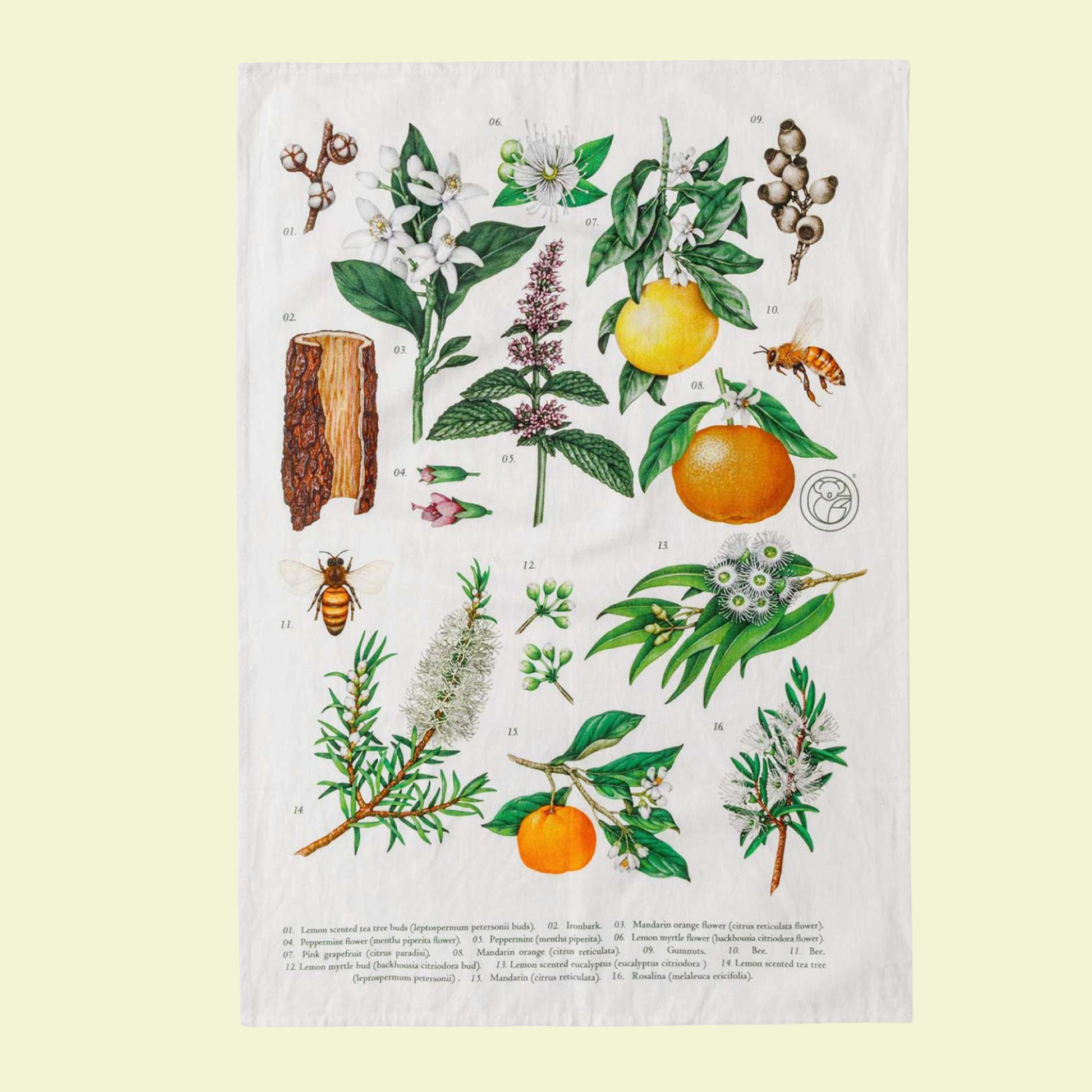 Koala Eco Tea Towel Botanical