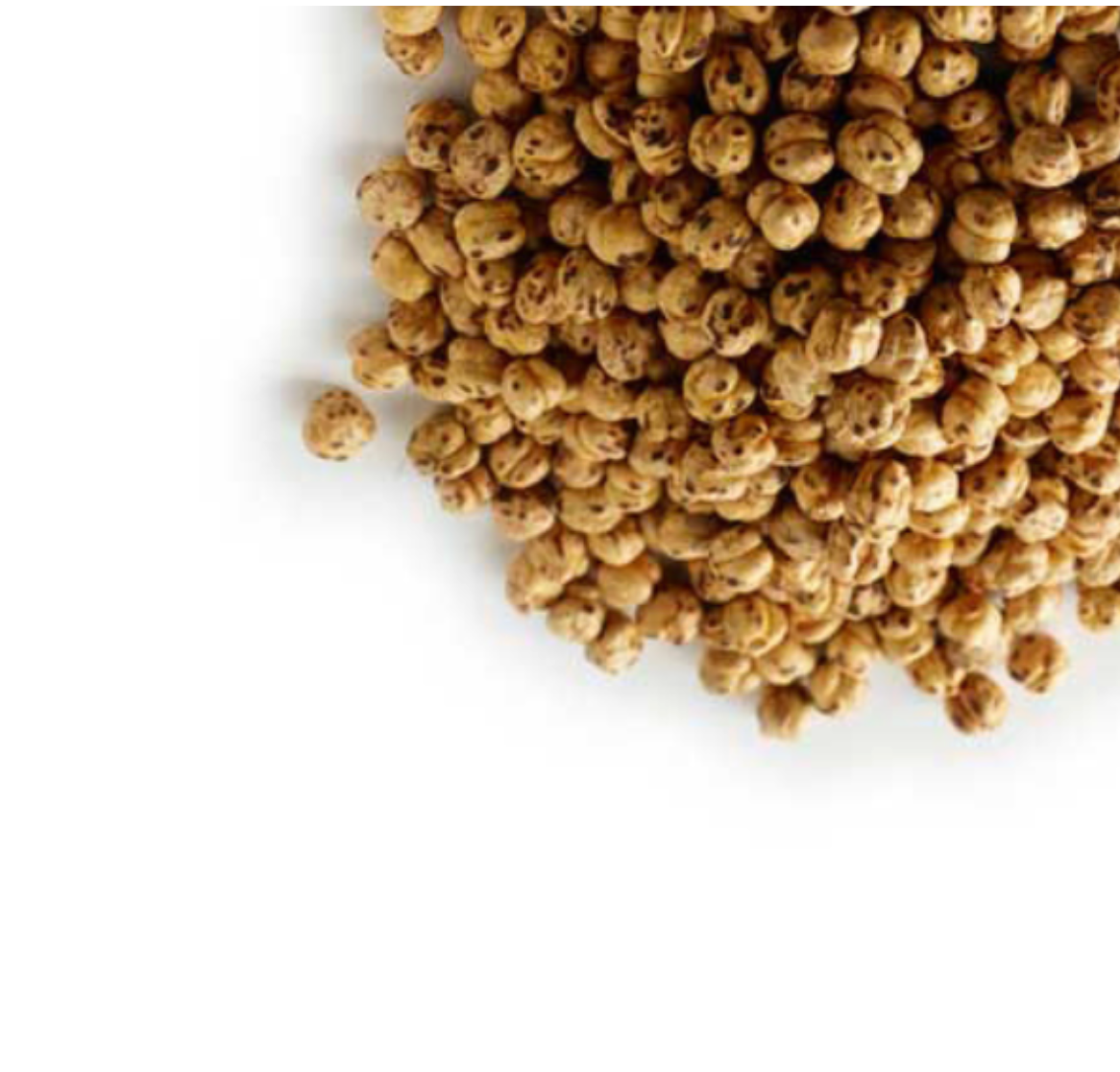 Single Roasted Yellow Chickpeas