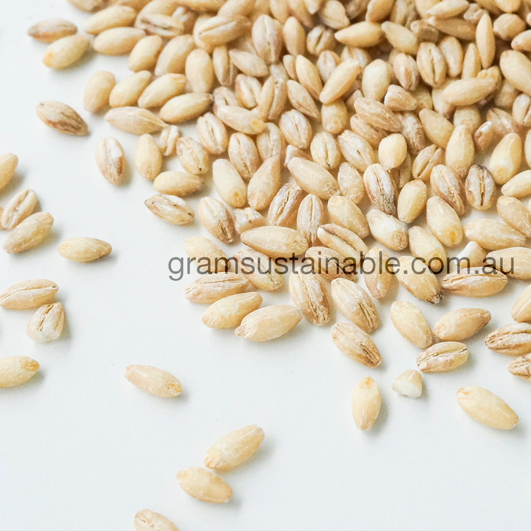 Barley Pearls - Australian