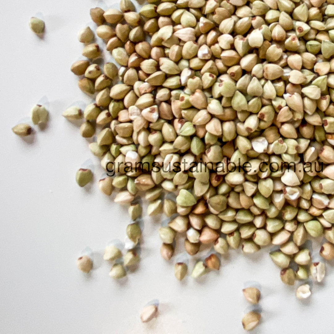 Raw Buckwheat - Organic