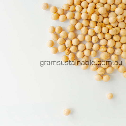 Soya Beans / Soy Bean - Australian