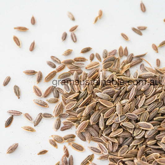 Dill Seeds