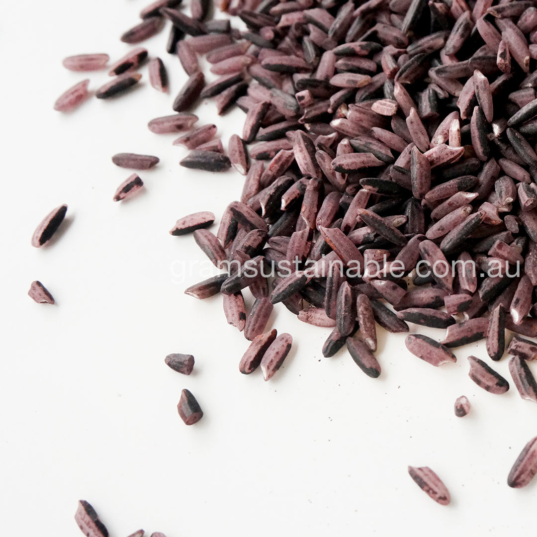 Black Rice – Gram Sustainable