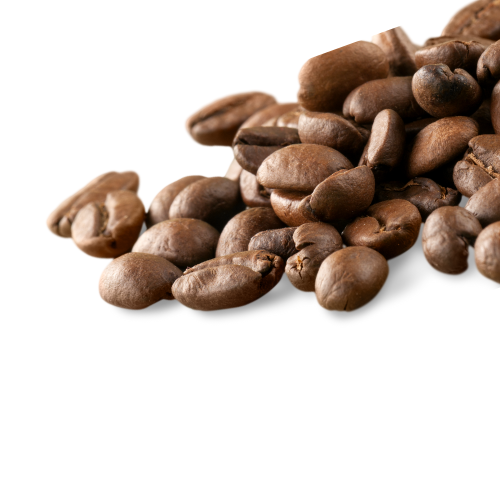 Roasted Coffee Beans - Koombi