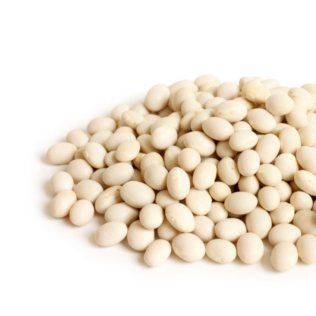 Haricot / Navy Beans